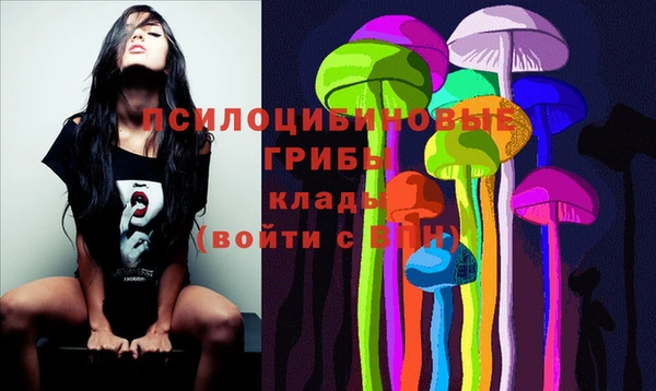 прущие крисы Алзамай