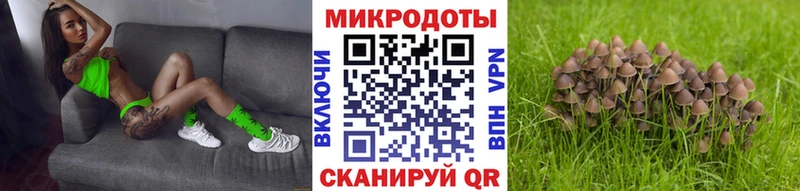 Псилоцибиновые грибы Cubensis  как найти закладки  блэк спрут ССЫЛКА  Арск 